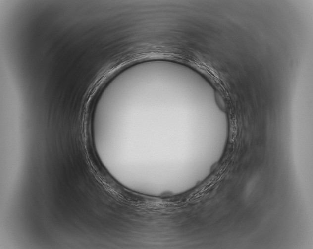 X0000116440098200912081401