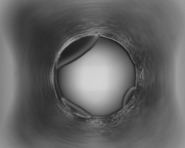 X0000116440100200912081401