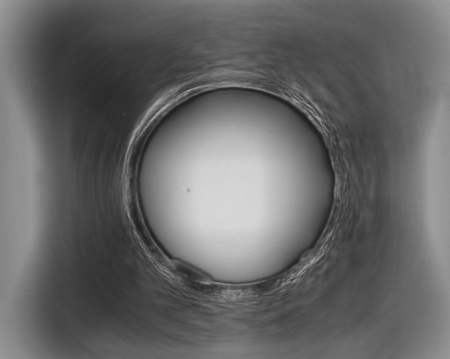 X0000116440101200912081401