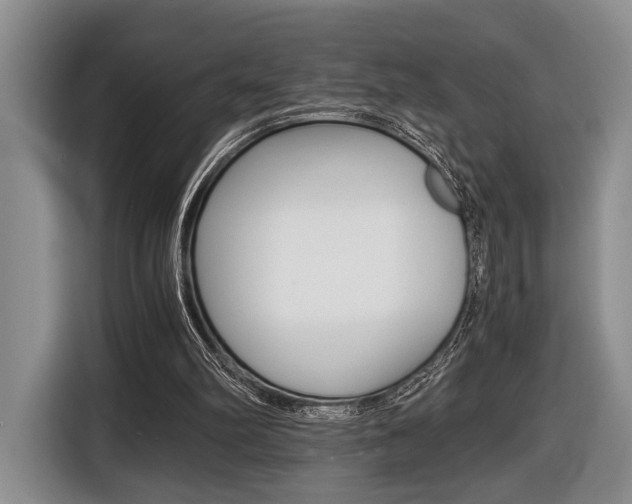 X0000116440102200912081401