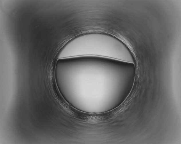 X0000116440105200912081401