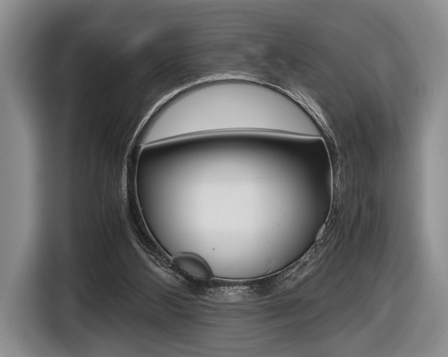 X0000116440108200912081401