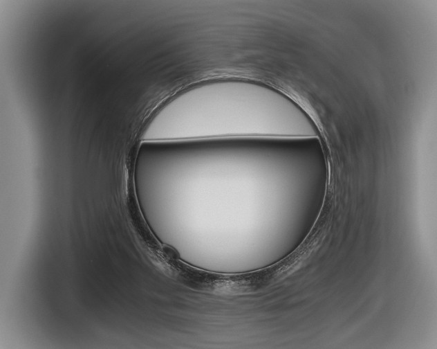 X0000116440109200912081401