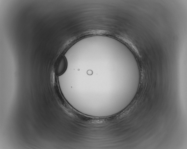 X0000116440110200912081401