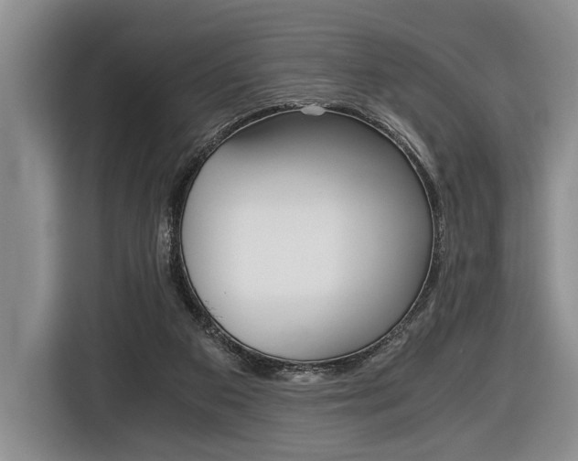 X0000116440113200912081401