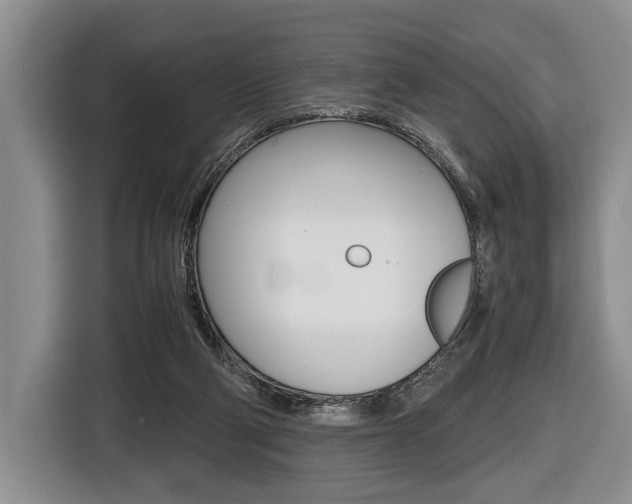 X0000116440114200912081401