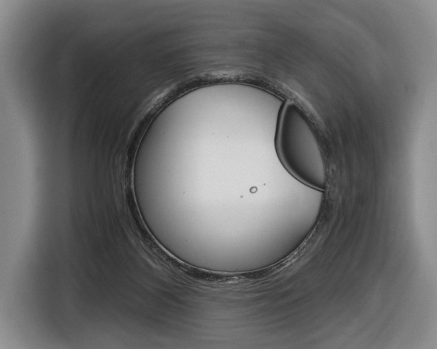 X0000116440116200912081400