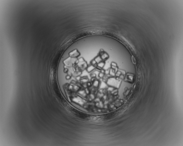 X0000116440117200912081400