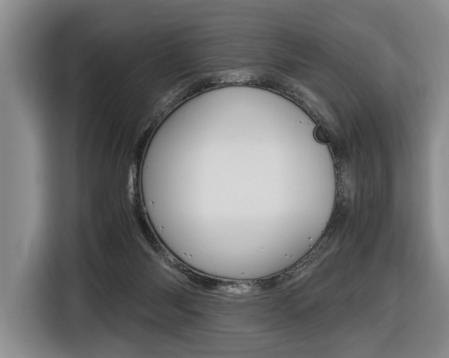 X0000116440118200912081400