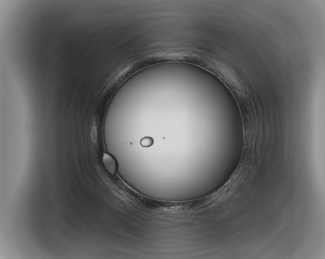 X0000116440120200912081400