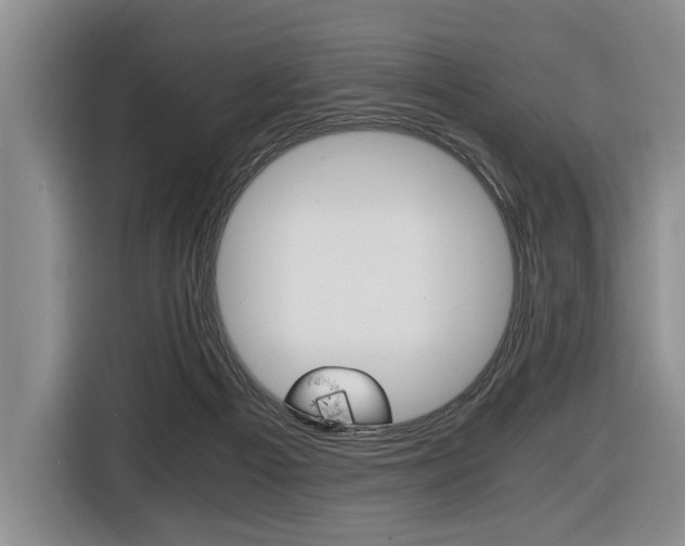 X0000116440121200912081400