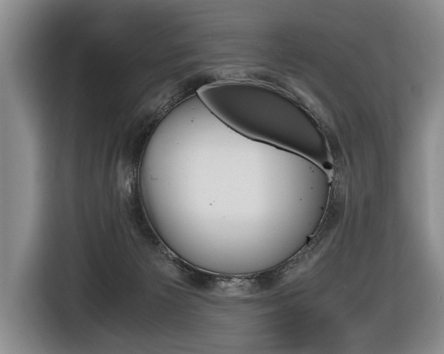 X0000116440125200912081400