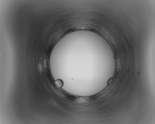 X0000116440126200912081400