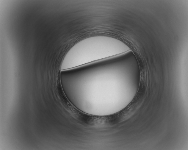 X0000116440127200912081400
