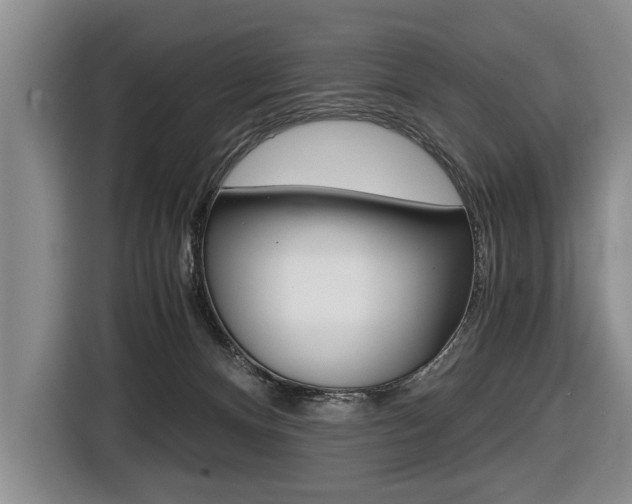X0000116440128200912081400