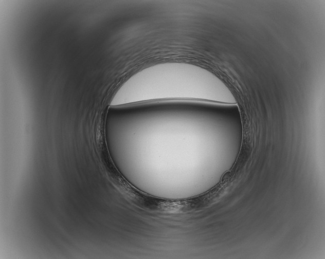 X0000116440131200912081400