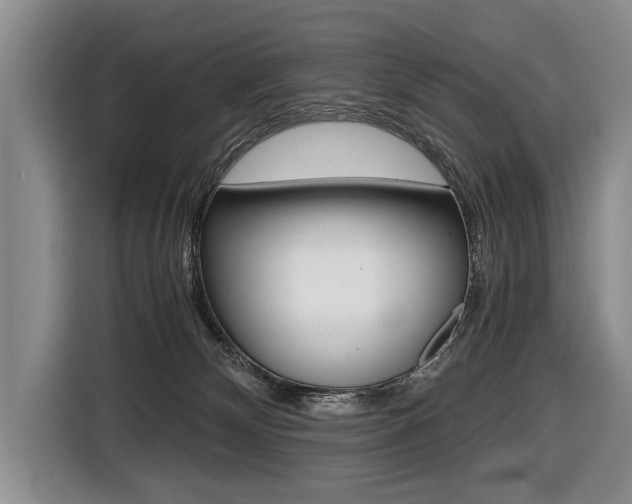 X0000116440132200912081400