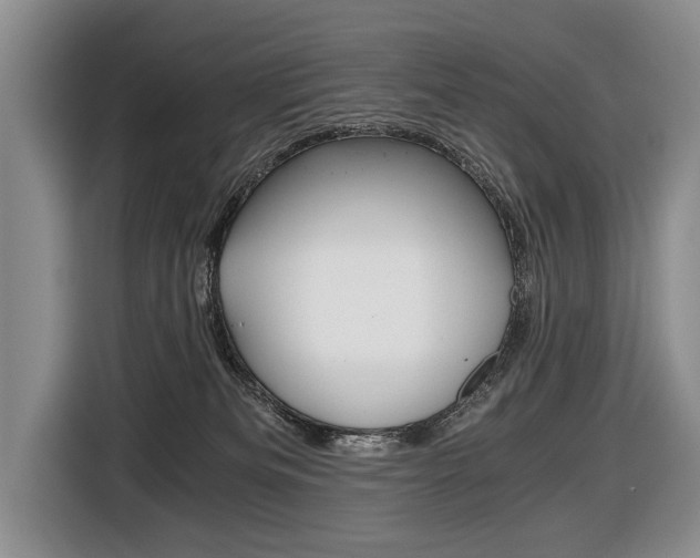 X0000116440133200912081400