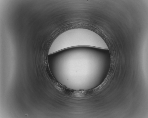 X0000116440136200912081400