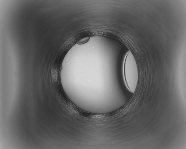 X0000116440139200912081400