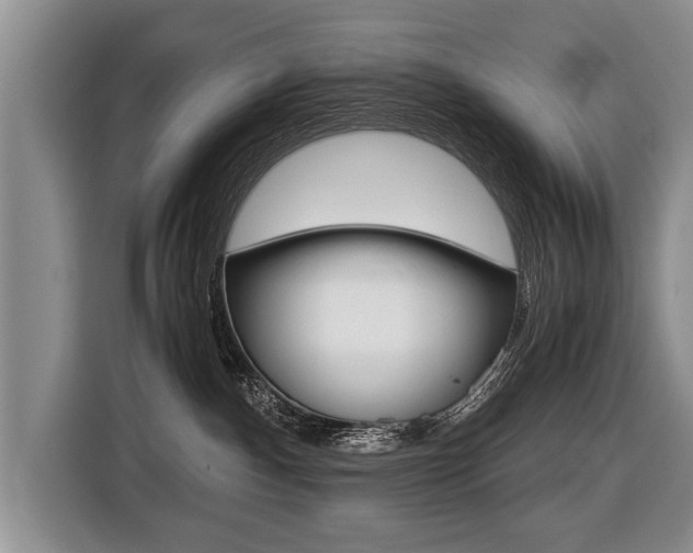 X0000116440140200912081400