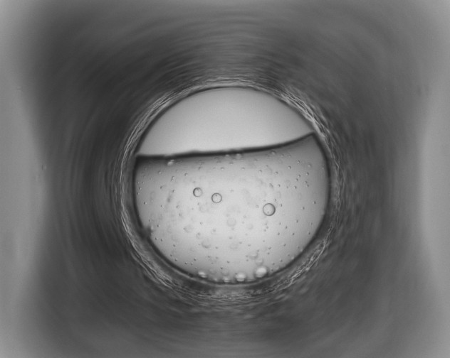 X0000116440145200912081359