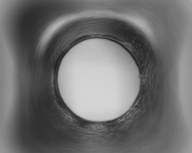 X0000116440146200912081359