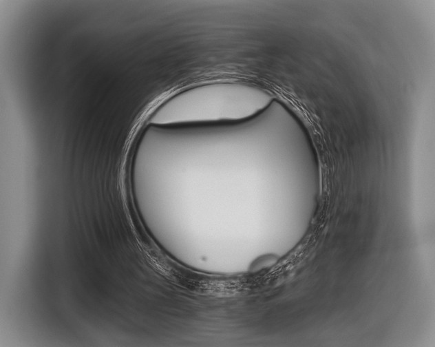 X0000116440147200912081359