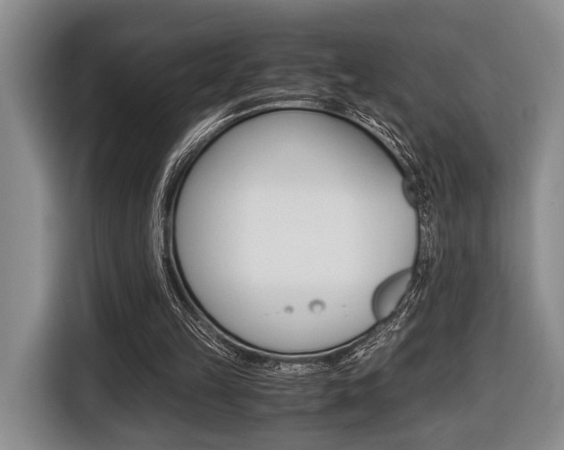 X0000116440149200912081359