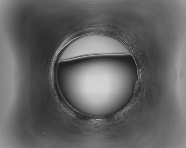 X0000116440150200912081359