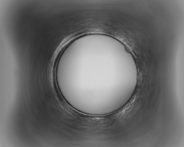 X0000116440151200912081400