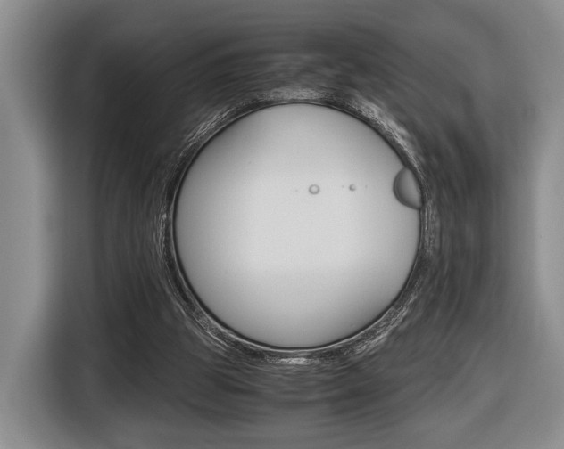 X0000116440153200912081400