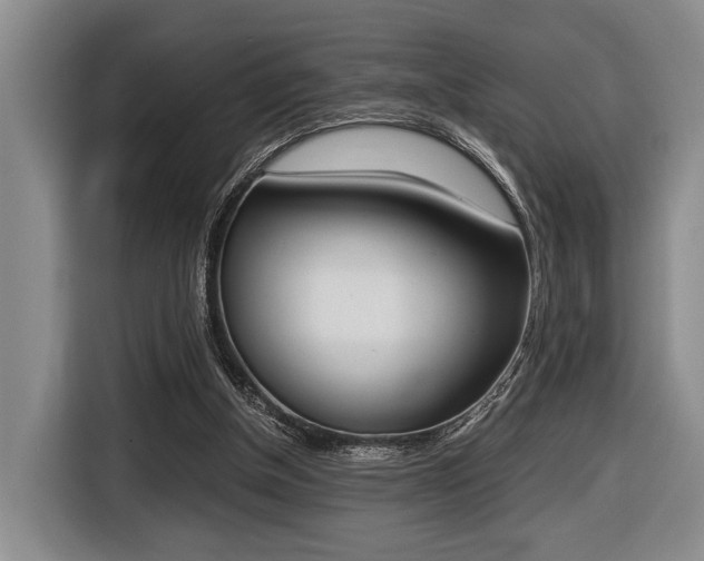 X0000116440154200912081400