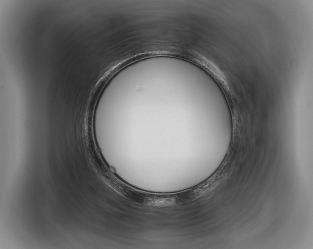X0000116440155200912081400