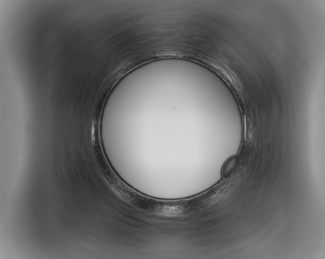X0000116440157200912081400