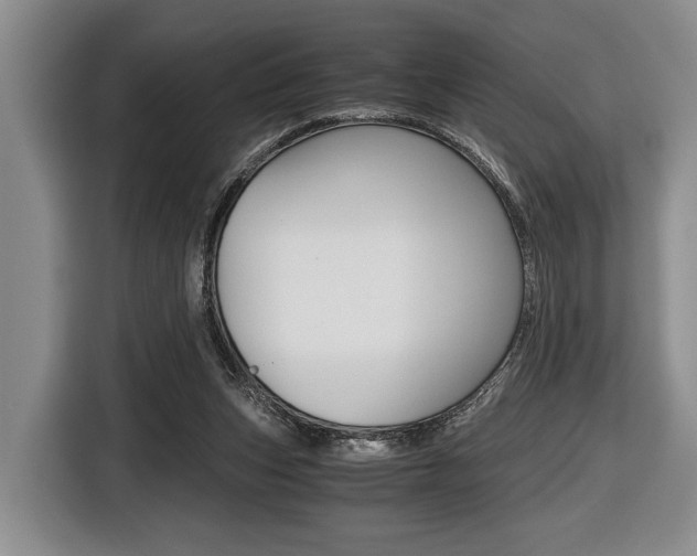 X0000116440159200912081400
