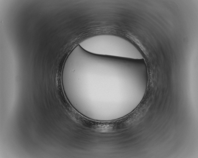 X0000116440161200912081400