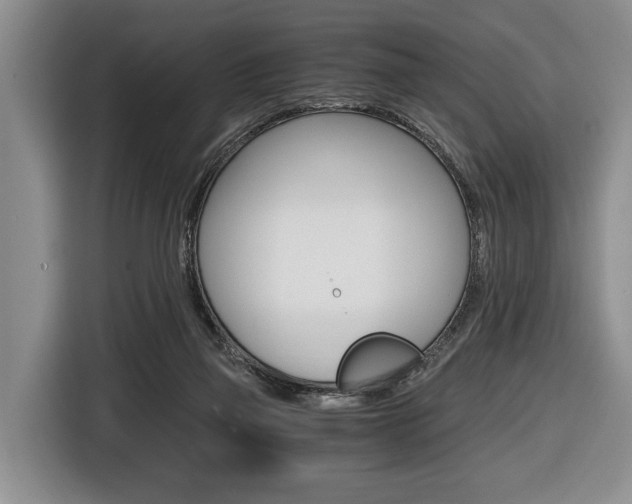 X0000116440165200912081400