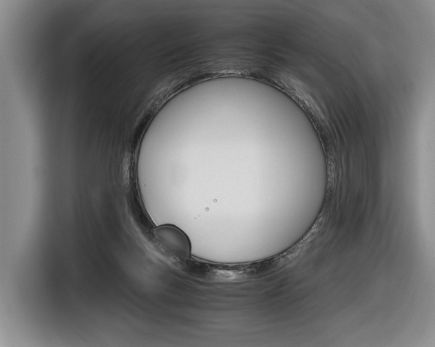 X0000116440167200912081400
