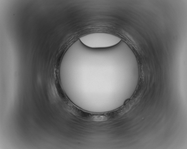 X0000116440169200912081400