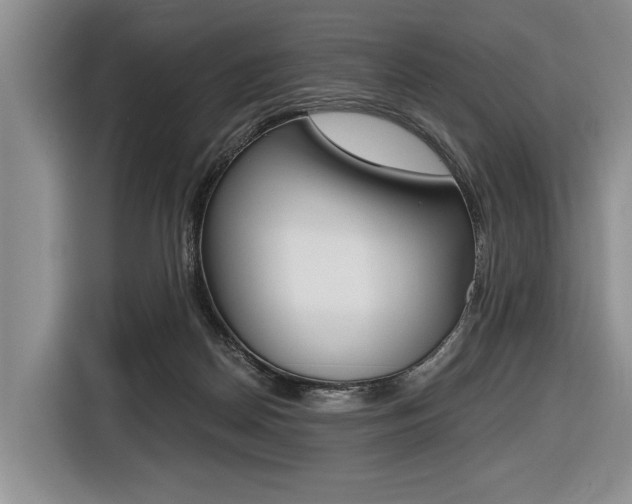 X0000116440170200912081400