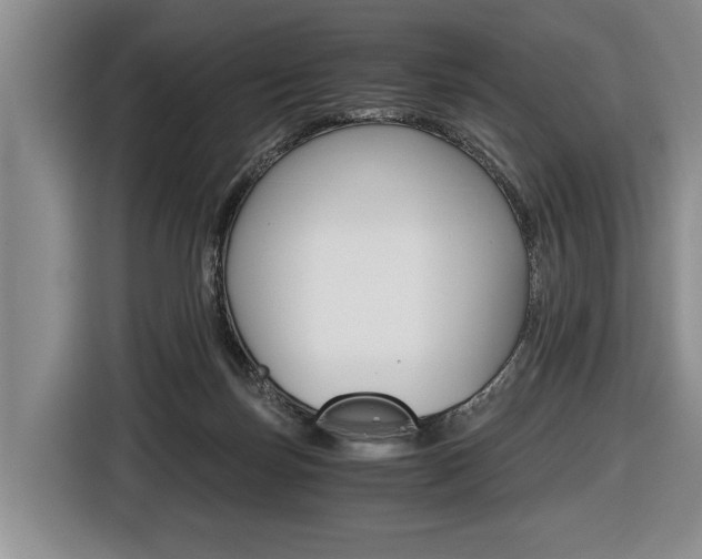 X0000116440171200912081400