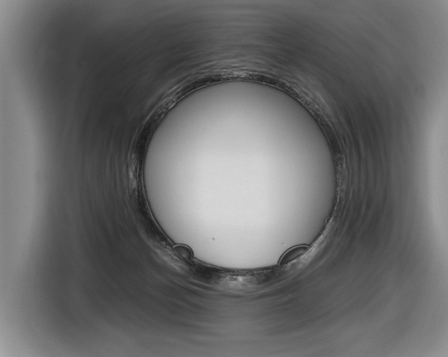 X0000116440174200912081400