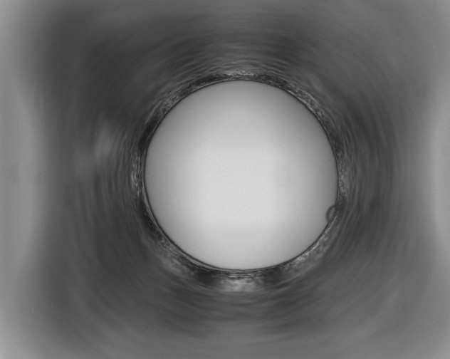 X0000116440175200912081400