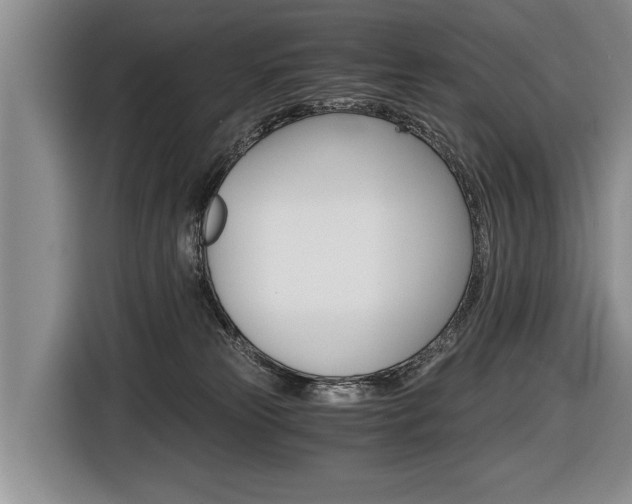 X0000116440181200912081400