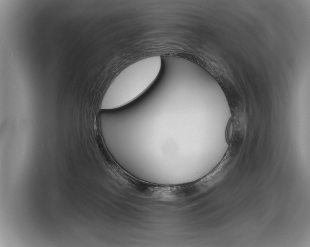 X0000116440182200912081400