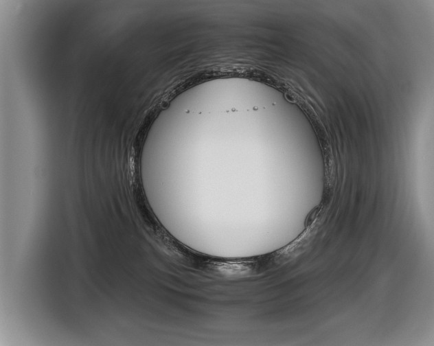 X0000116440183200912081400
