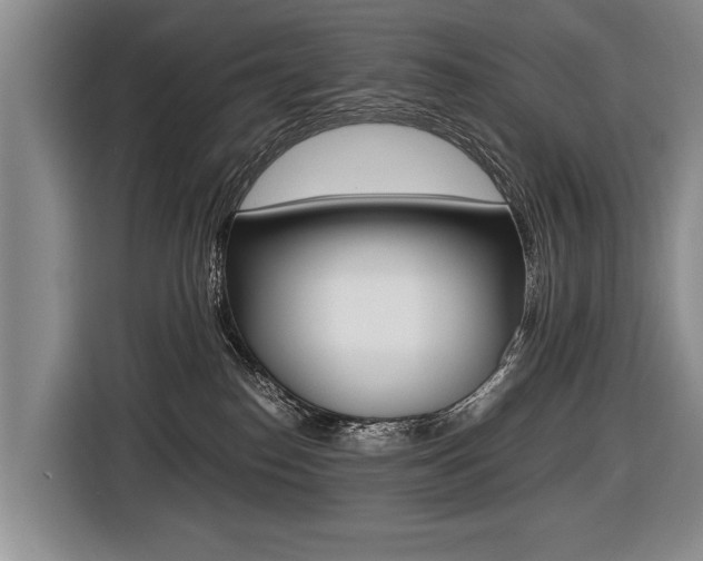 X0000116440186200912081400