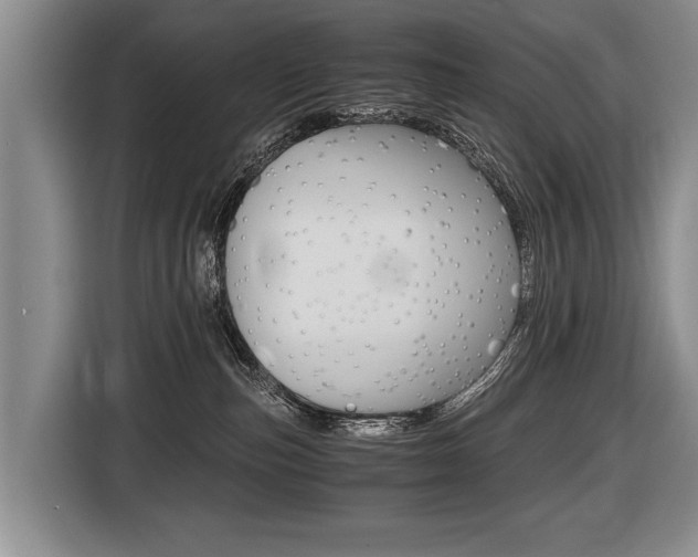 X0000116440187200912081400