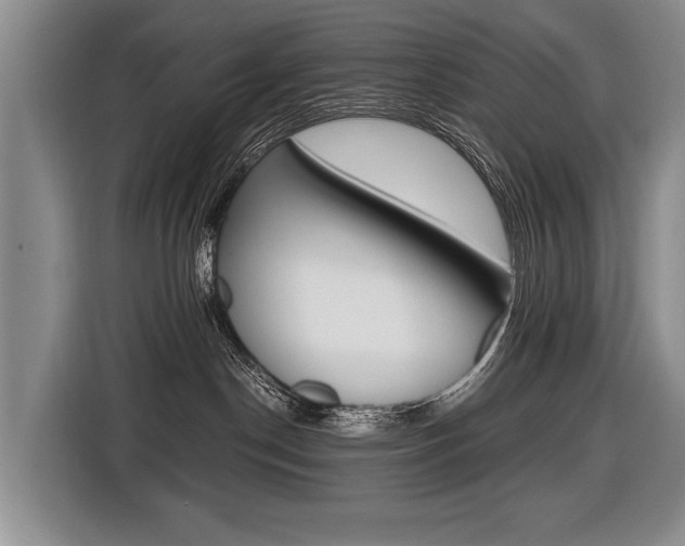 X0000116440190200912081400